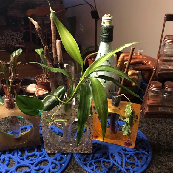 COPY - Bee-themed Propagation Planting Station - Picture 4 of 4